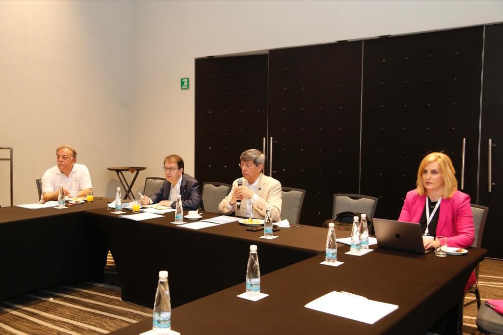 უნივერსიტეტთა პრეზიდენტების საერთაშორისო ასოციაციის (IAUP) დირექტორთა საბჭოს  სხდომა, მეხიკო სითიში 