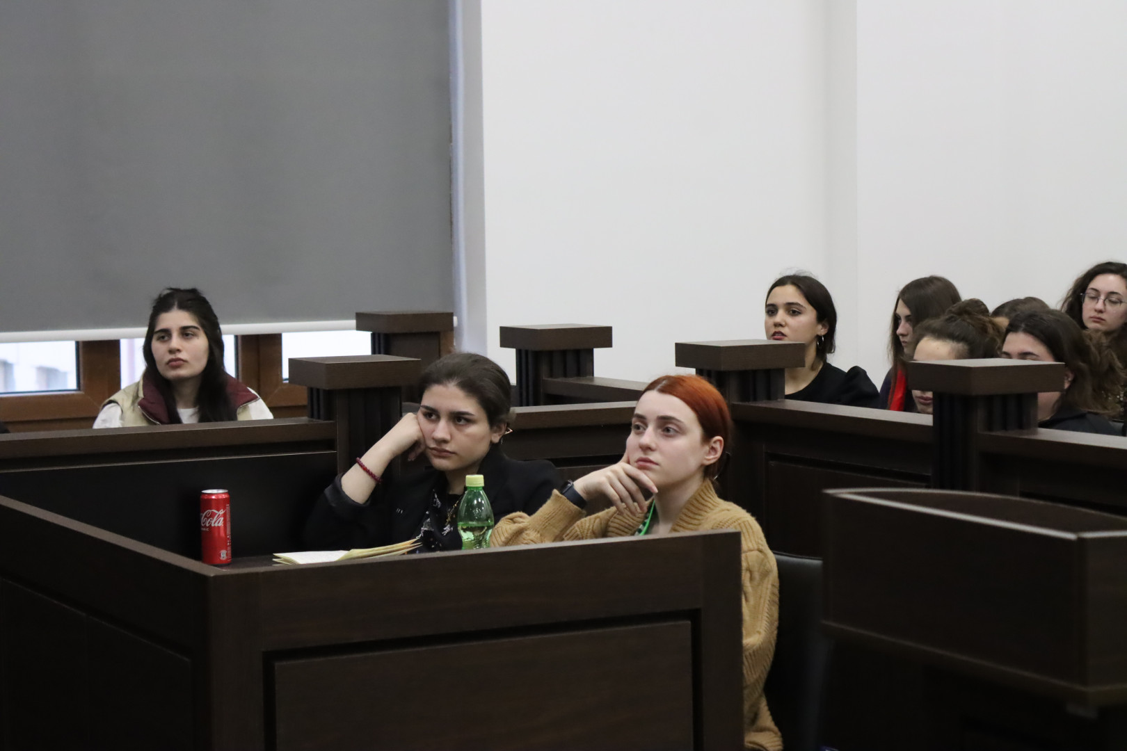 საჯარო ლექცია თემაზე -"ნაფიც მსაჯულთა სასამართლოს პრაქტიკული გამოწვევები ქართულ და ამერიკულ სამართალში"